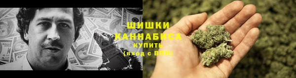 ГАЛЛЮЦИНОГЕННЫЕ ГРИБЫ Покровск