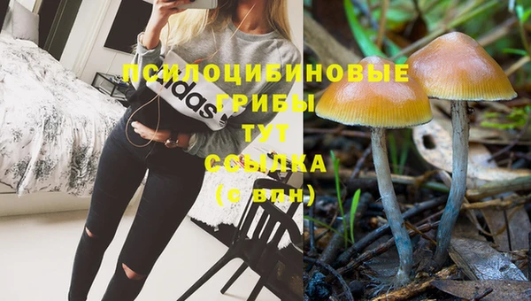 прущий лед Алексеевка