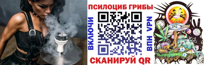 ОМГ ОМГ зеркало  Камышлов  Псилоцибиновые грибы Psilocybe 